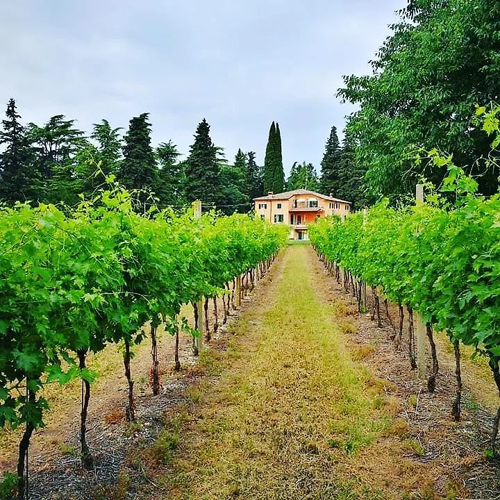 Landhuis Residenza Eden Pension Colà Italië