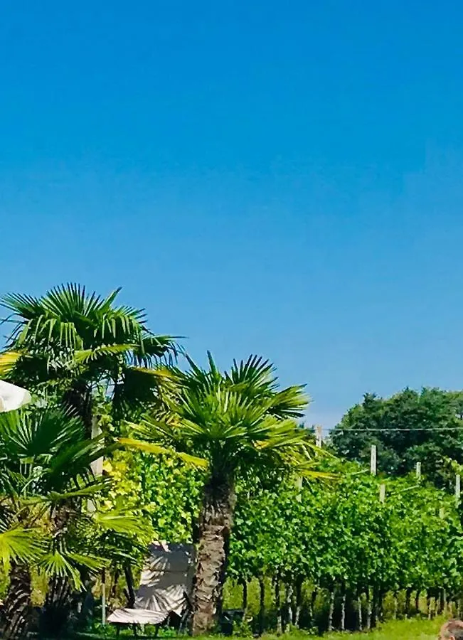 Residenza Eden Pension Colà Italië